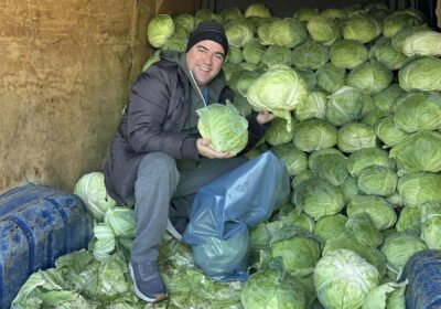 Иван Звездев: Зелето няма да втаса, ако солта е малко, ето каква е идеалната формула…