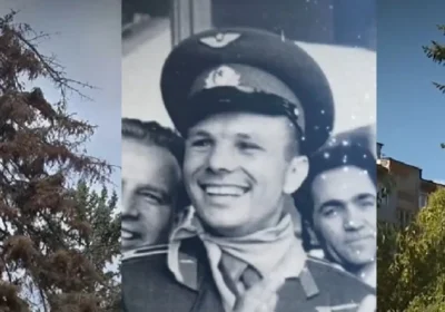 65 години по-късно: Отрязаха бора, засаден от Юрий Гагарин в София, вълна от възмущение в мрежата